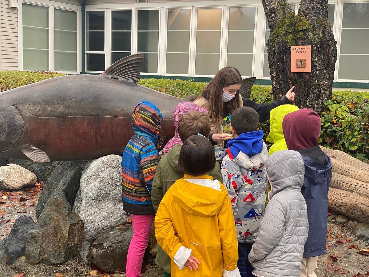 Friends of the Issaquah Salmon Hatchery