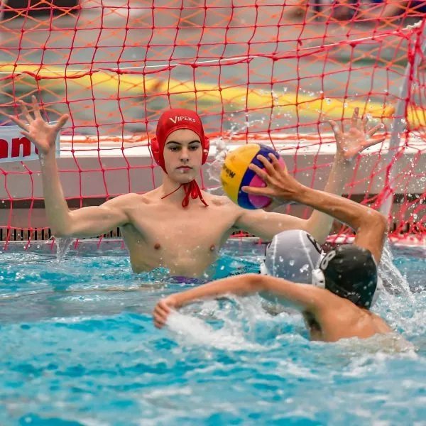 Vancouver Vipers Youth Water Polo Club