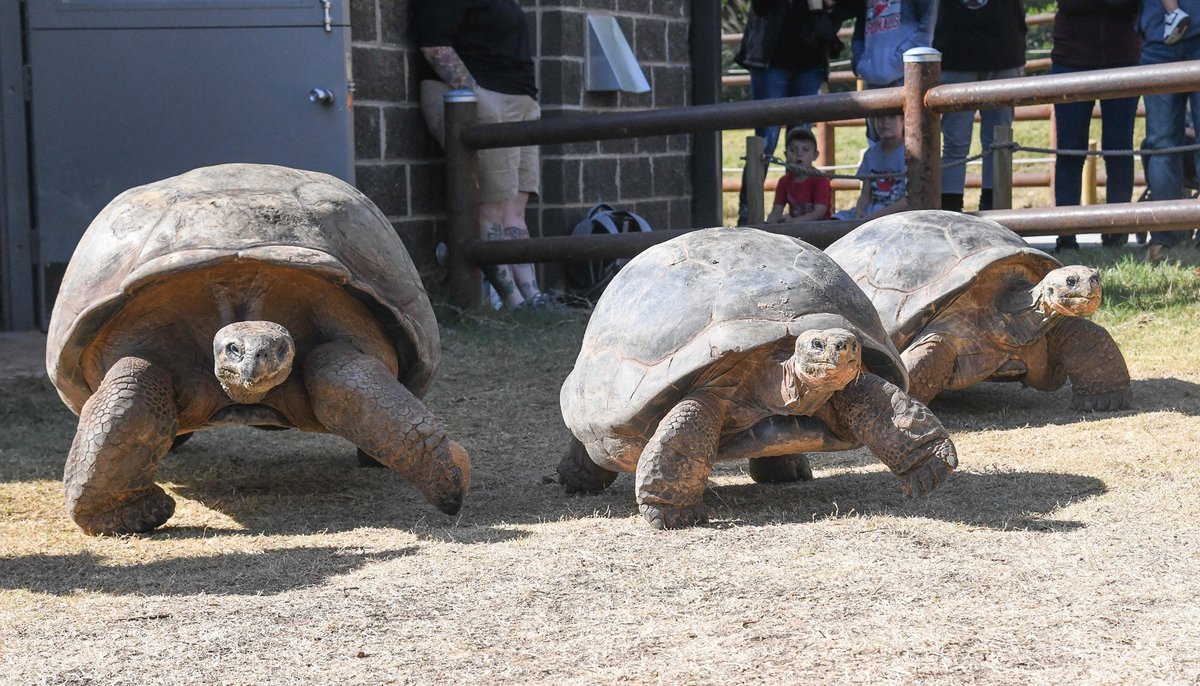Oklahoma City Zoological Park and Botanical Garden
