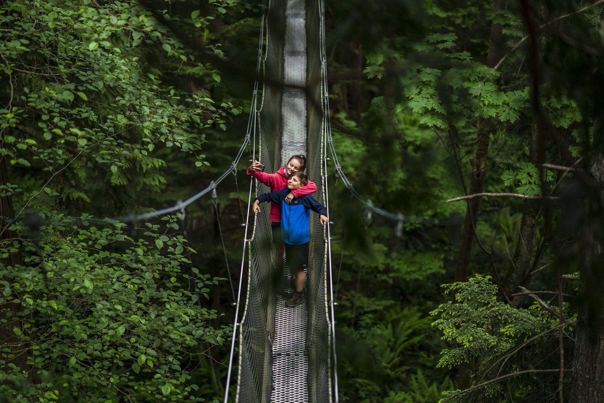Greenheart Canopy Walkway Company