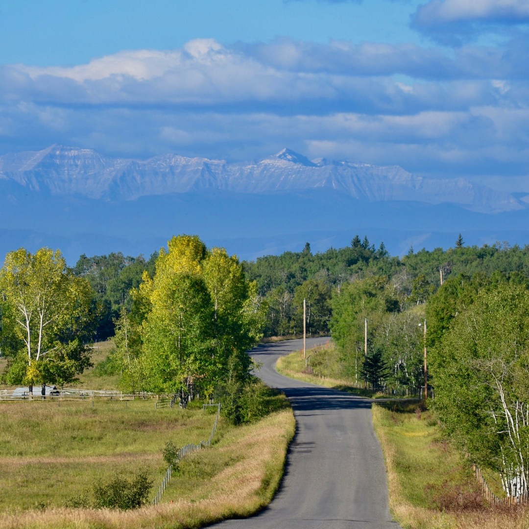 The Most Beautiful Art Tour in Alberta