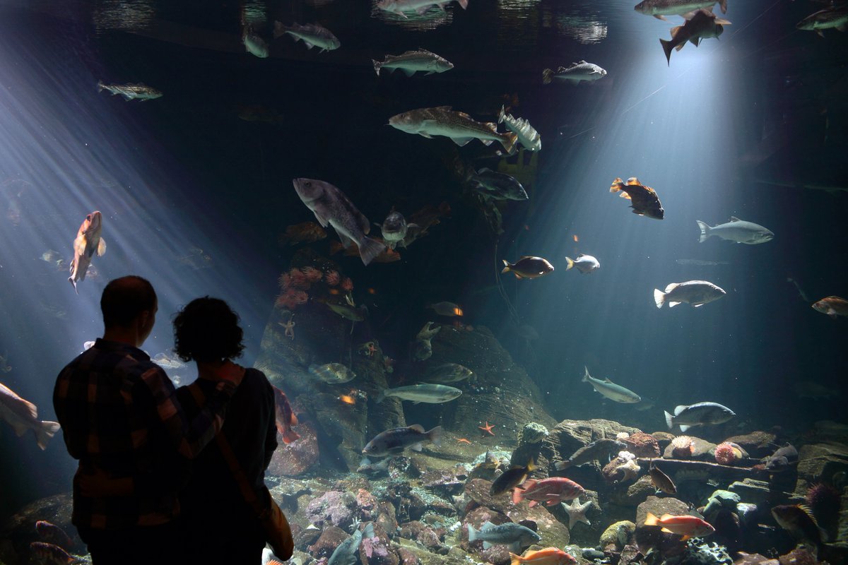 Vancouver Aquarium, an Ocean Wise Initiative