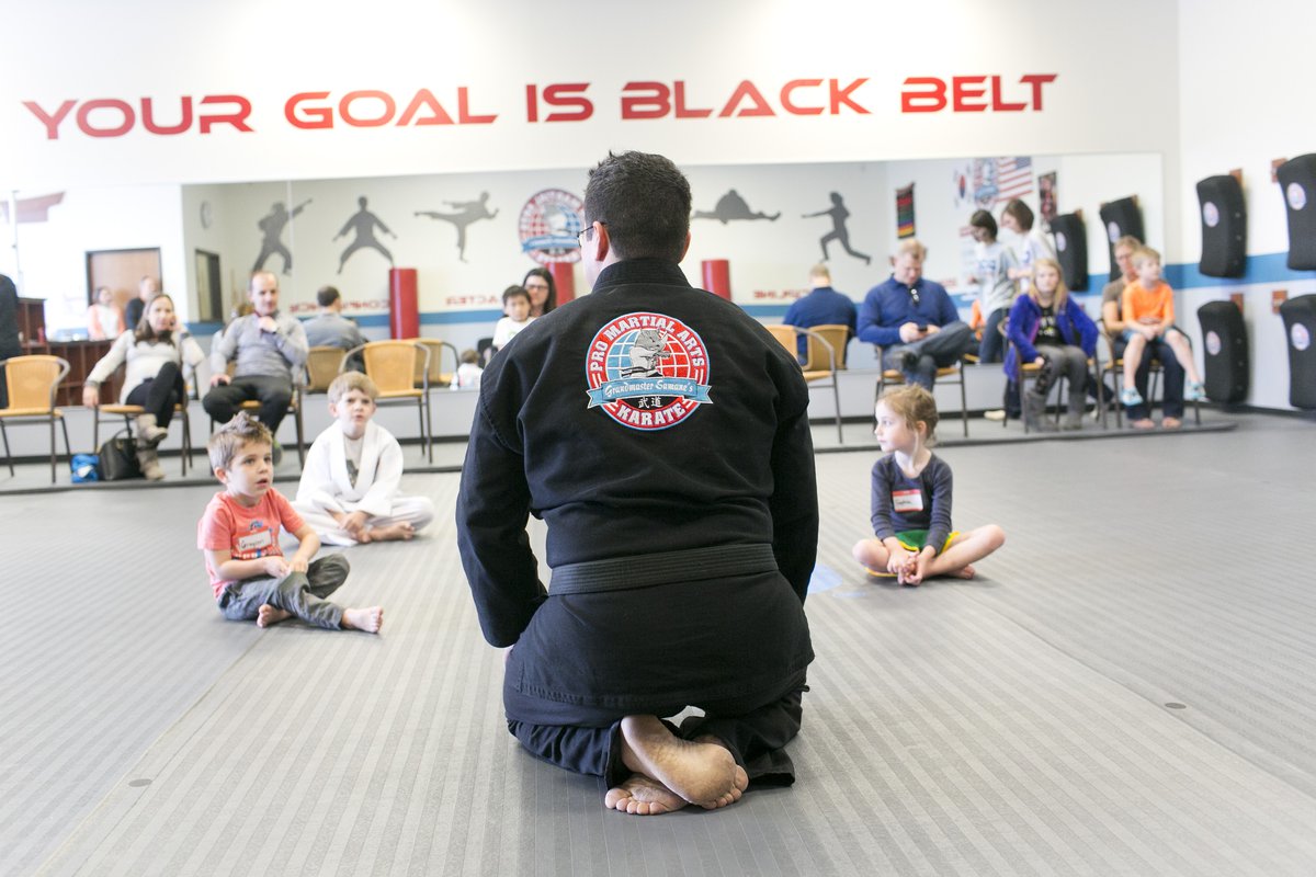 PRO Martial Arts Lakewood