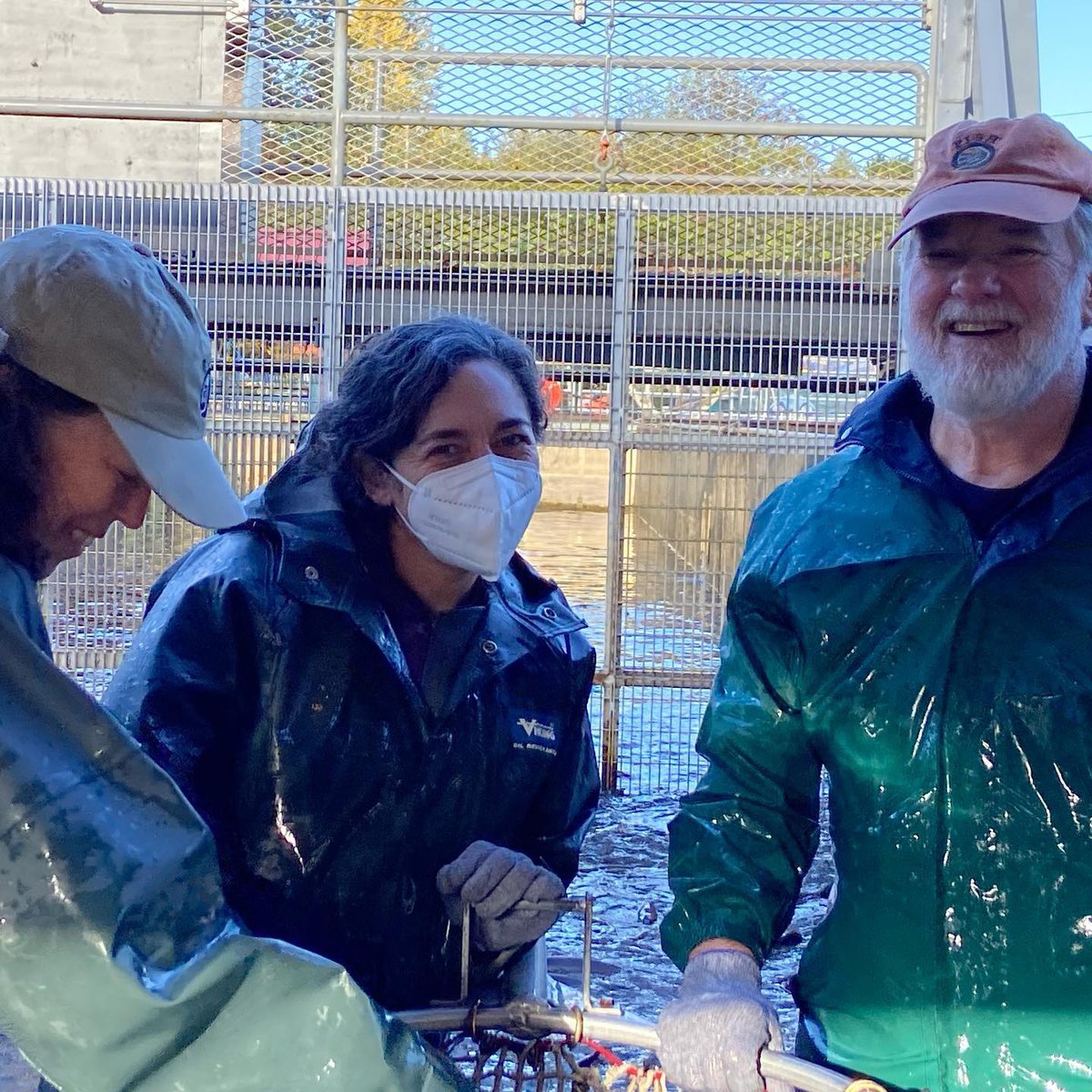 Friends of the Issaquah Salmon Hatchery