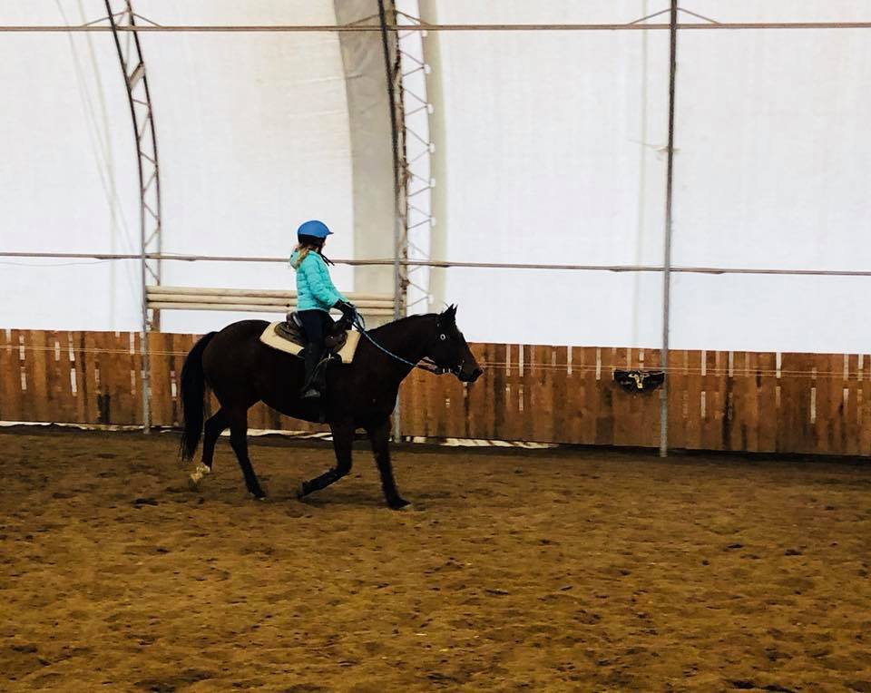 Regina Equestrian Centre Ltd