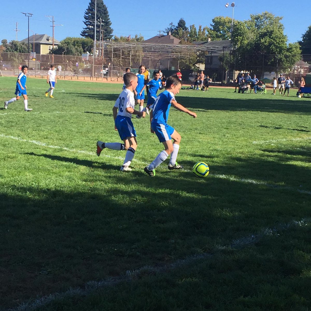 Albany Berkeley Soccer Club