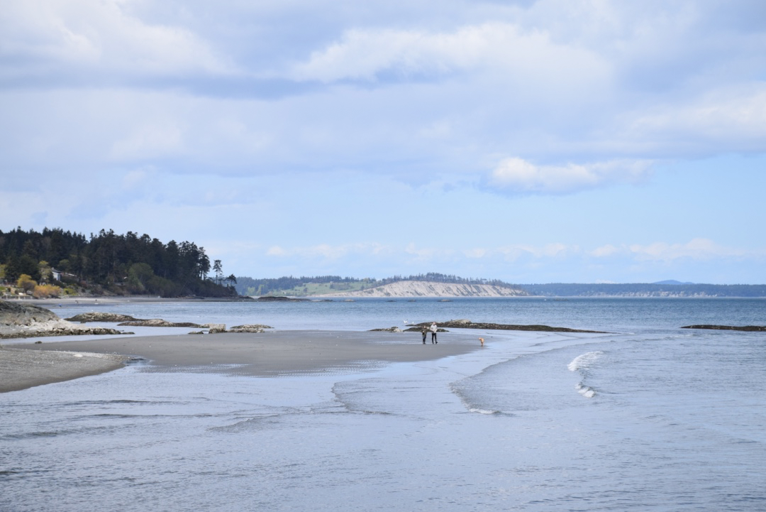 Cordova Bay Beach