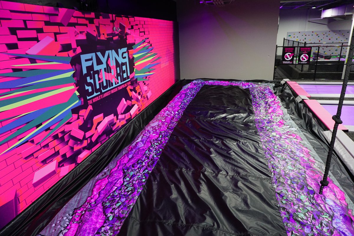 Flying Squirrel Hamilton