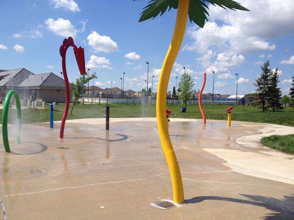 Bridgwater Forest Playground(s)