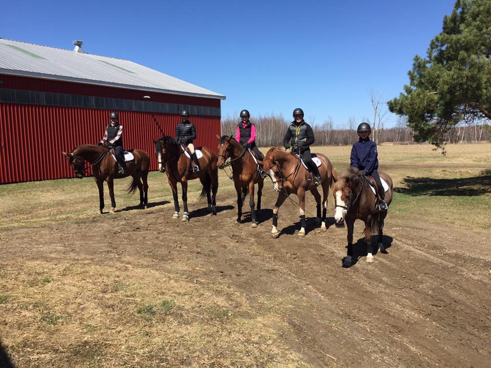 Taylor Brooks Equestrian Wynbrook Farm