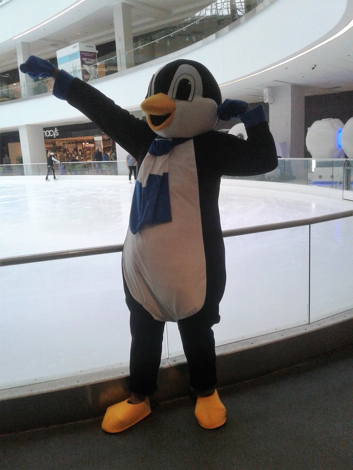 Lloyd Center Ice Rink