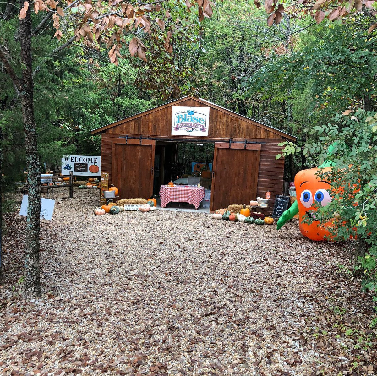 Blase Family Farm
