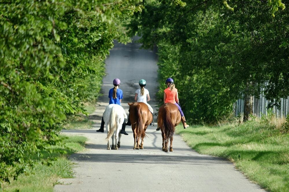 Rockwall Hills Equestrian Center