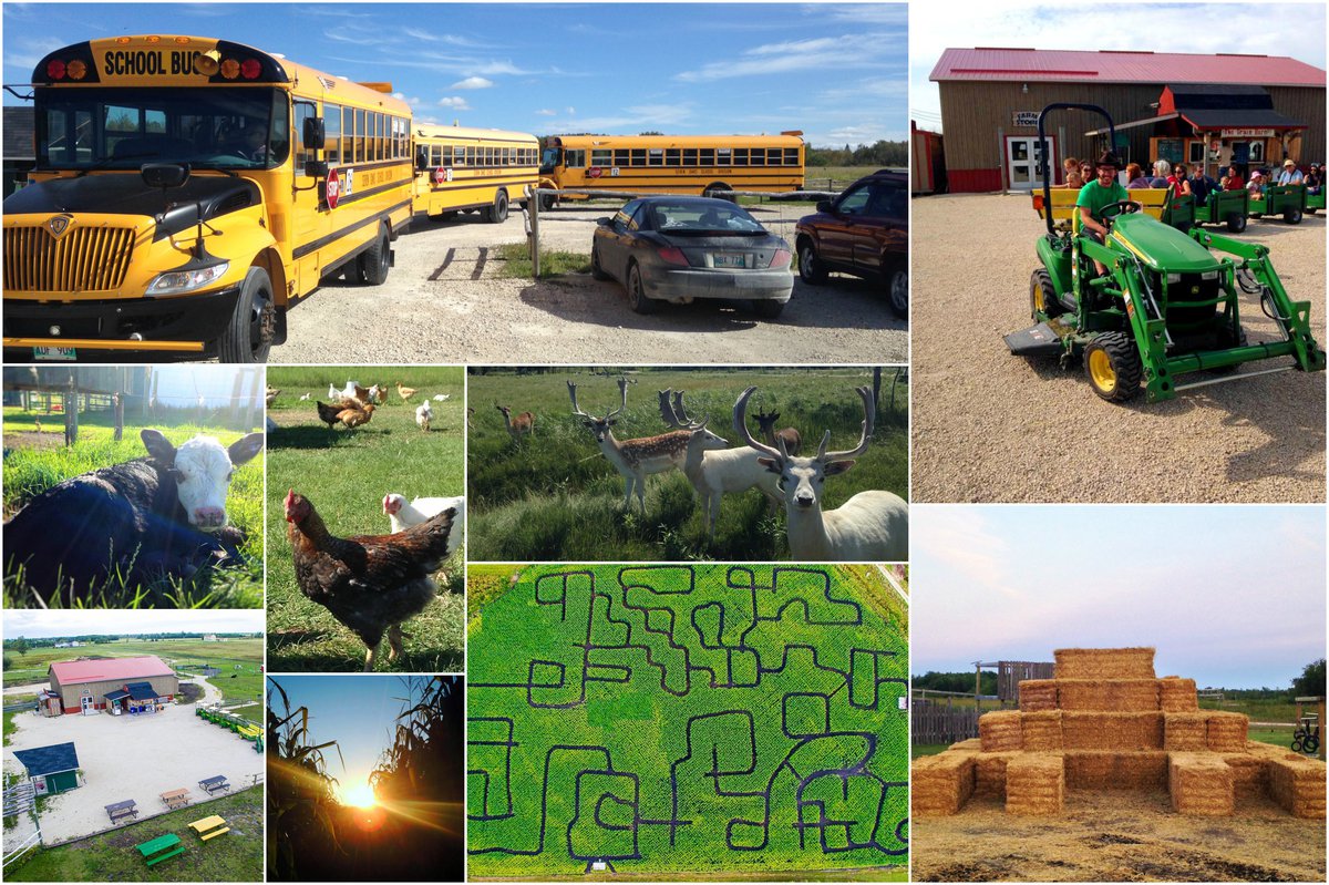 Deer Meadow Farms