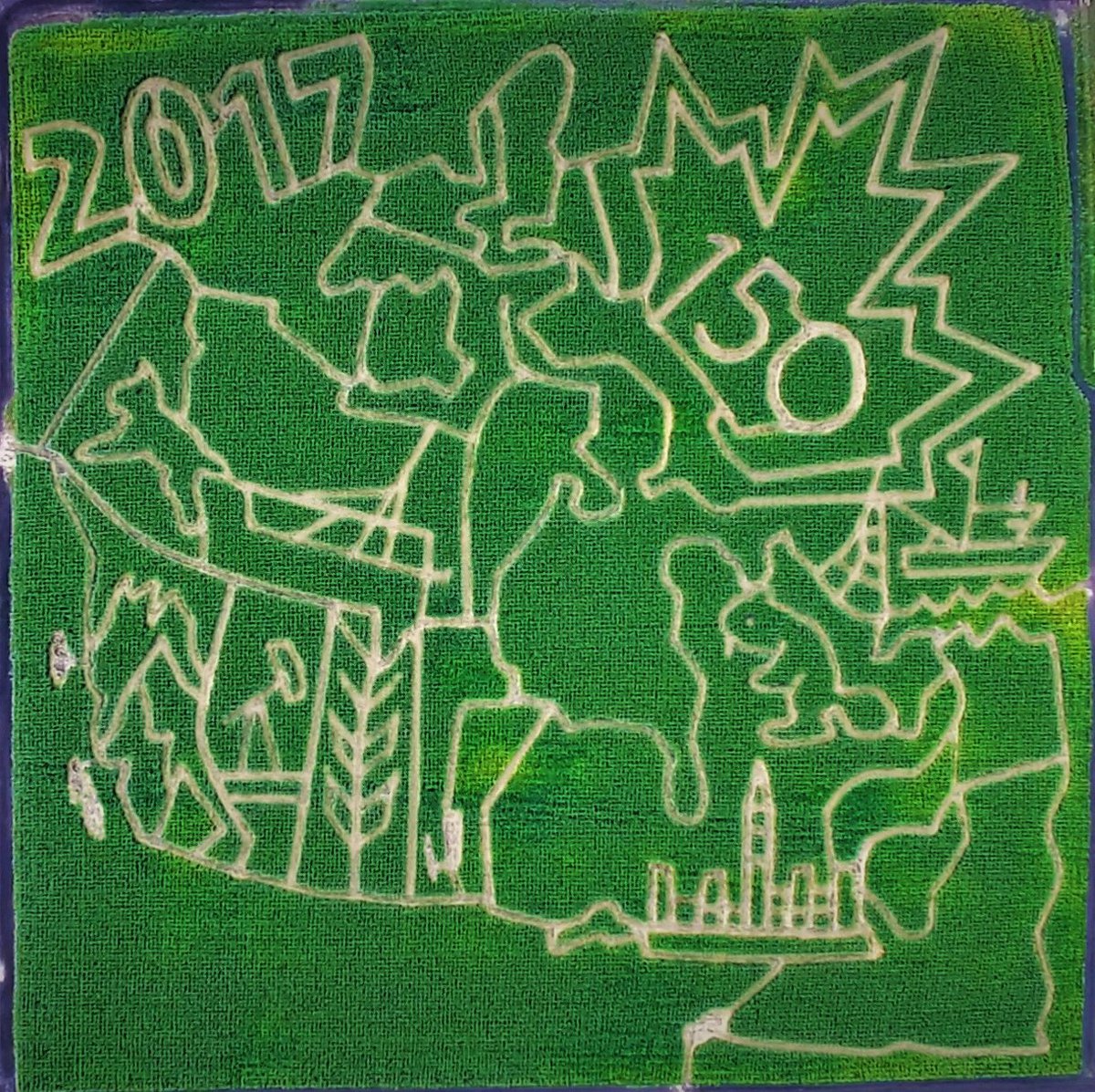 Deer Meadow Farms
