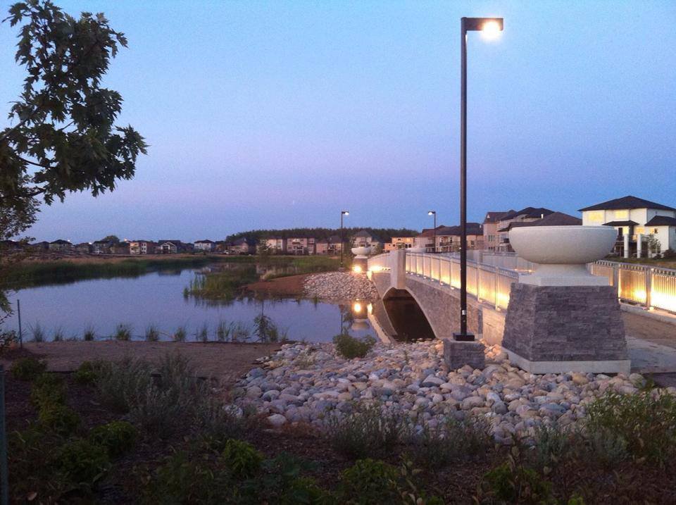 Bridgwater Forest Playground(s)
