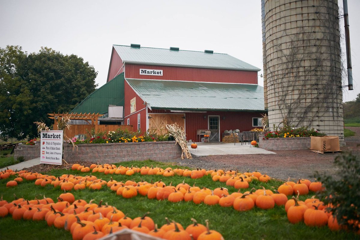 Forsythe Family Farms 2009 Inc