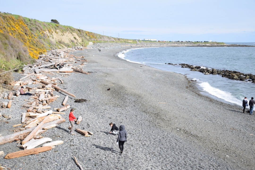 10 Beaches in Greater Victoria Perfect For Kids & Families