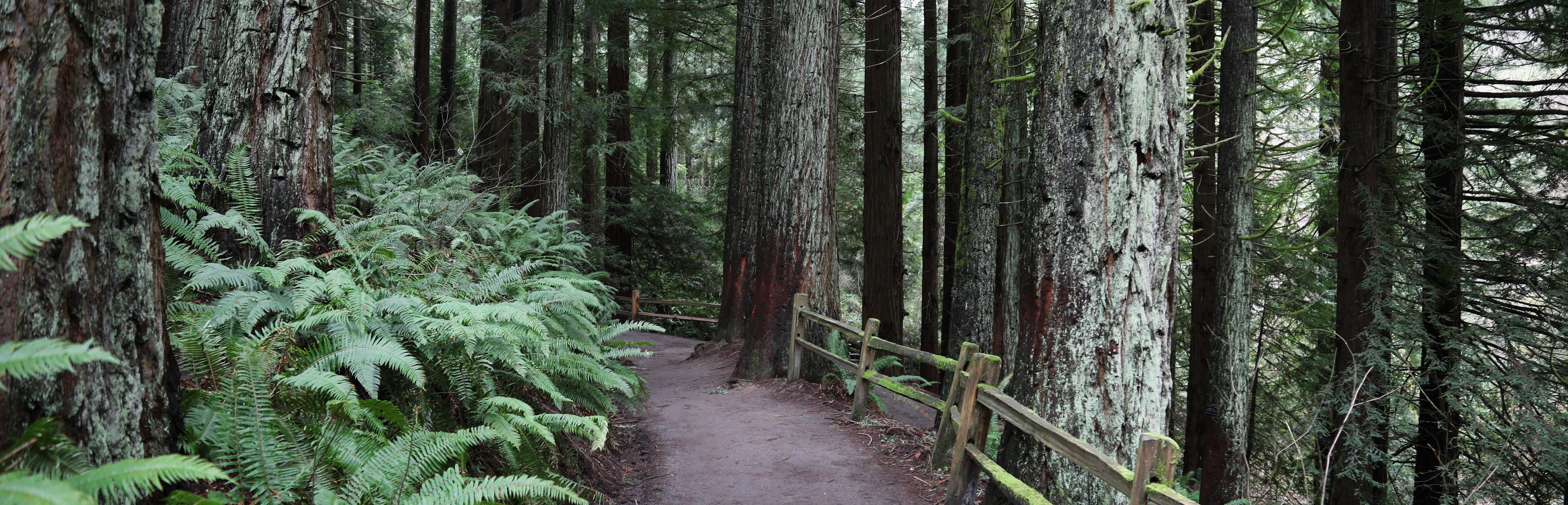 10 Family-Friendly Hikes in and Around Portland