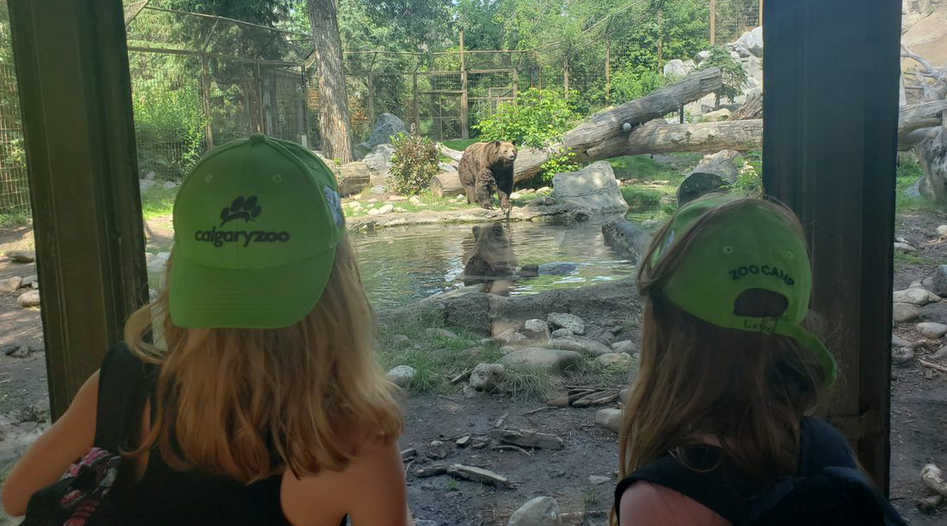 25 Things to Do in Calgary with your Kids